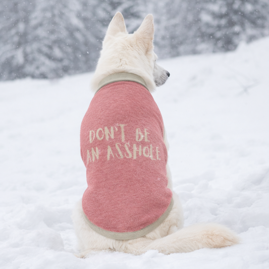 HONORED: The “Don’t Be an Asshole” Knitted Dog Sweater
